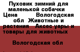 Пуховик зимний для маленькой собачки › Цена ­ 600 - Вологодская обл. Животные и растения » Аксесcуары и товары для животных   . Вологодская обл.